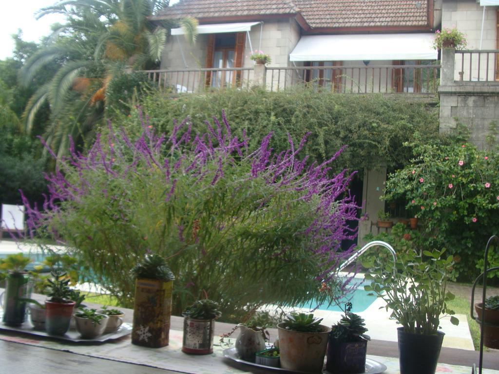 Casa Ruchi 1893 Bed & Breakfast Tigre Ngoại thất bức ảnh