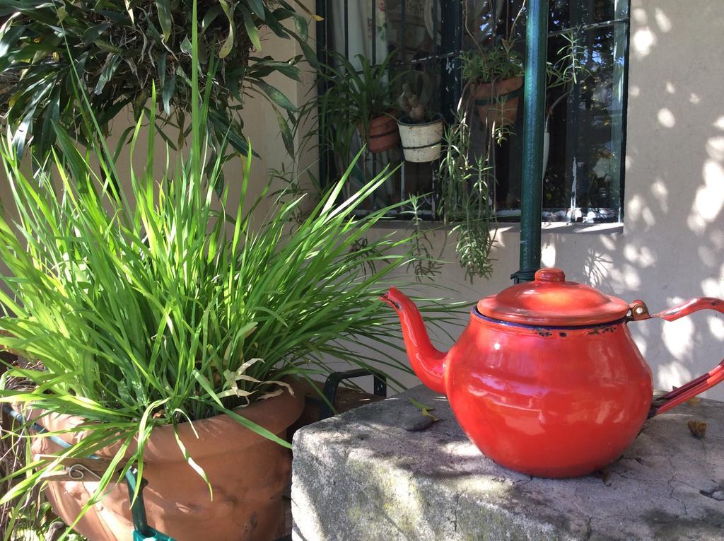 Casa Ruchi 1893 Bed & Breakfast Tigre Ngoại thất bức ảnh