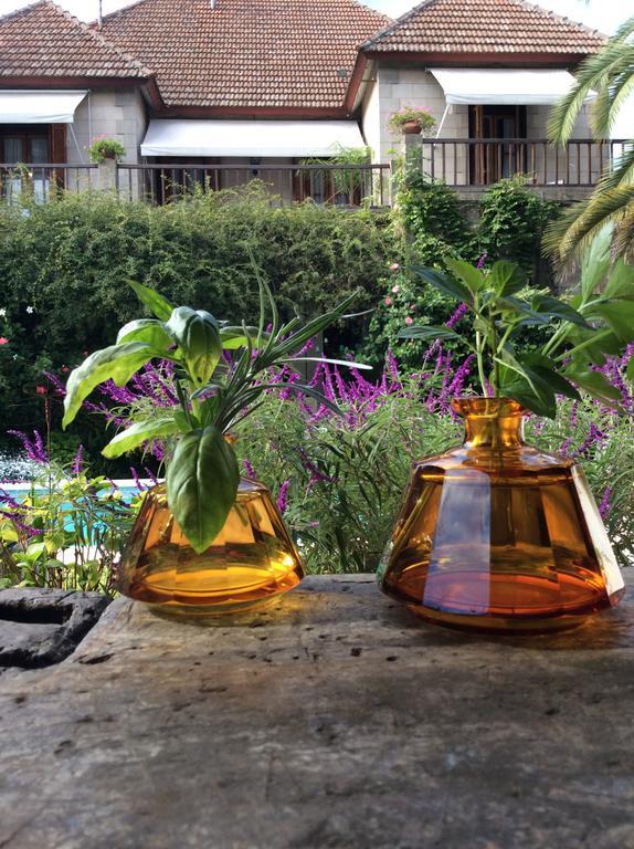 Casa Ruchi 1893 Bed & Breakfast Tigre Ngoại thất bức ảnh