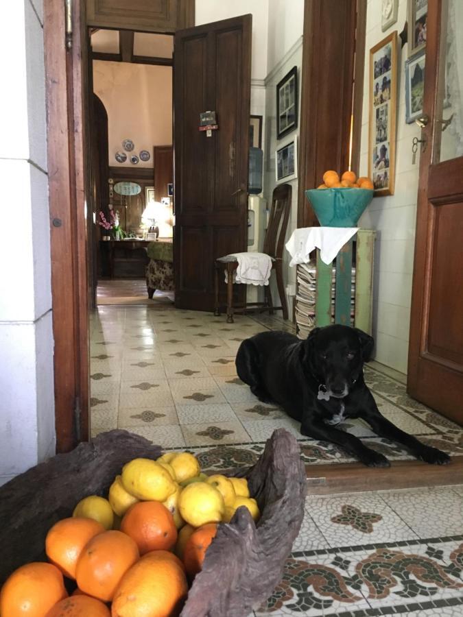 Casa Ruchi 1893 Bed & Breakfast Tigre Ngoại thất bức ảnh